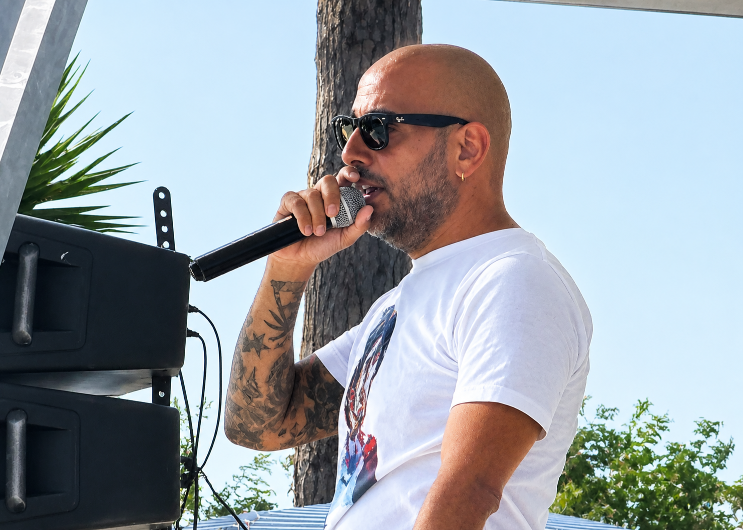 Decibel Bellini